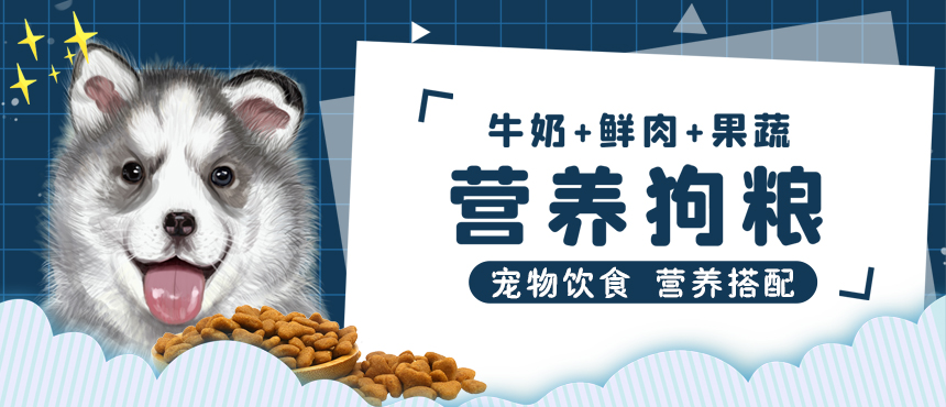 新兴工业集团主要生产优质内衣、泳衣及运动服纺织品，迎合每个客人的需要和爱好