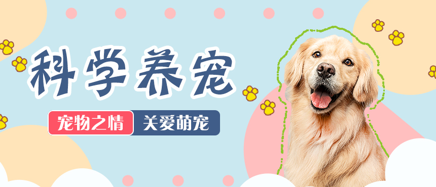 新兴工业集团 - 内衣领域的领先生产商之一